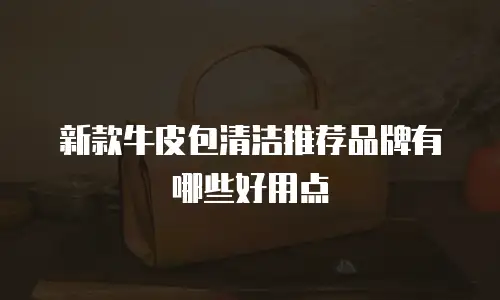 新款牛皮包清洁推荐品牌有哪些好用点