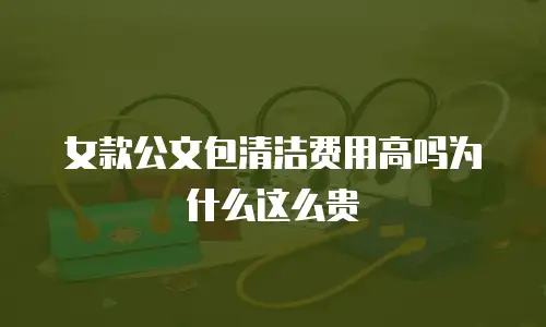 女款公文包清洁费用高吗为什么这么贵