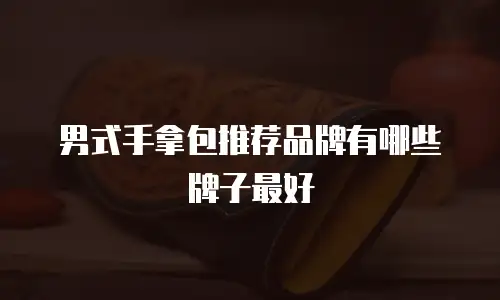 男式手拿包推荐品牌有哪些牌子最好