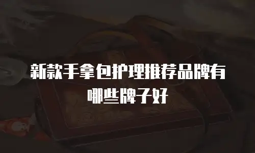 新款手拿包护理推荐品牌有哪些牌子好