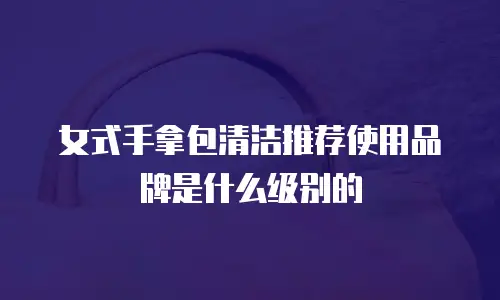 女式手拿包清洁推荐使用品牌是什么级别的