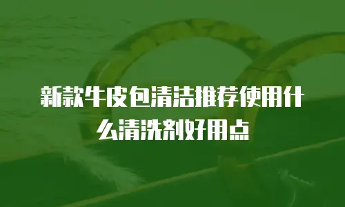 新款牛皮包清洁推荐使用什么清洗剂好用点