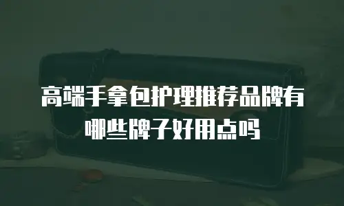 高端手拿包护理推荐品牌有哪些牌子好用点吗