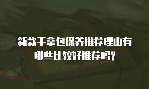 新款手拿包保养推荐理由有哪些比较好推荐吗?