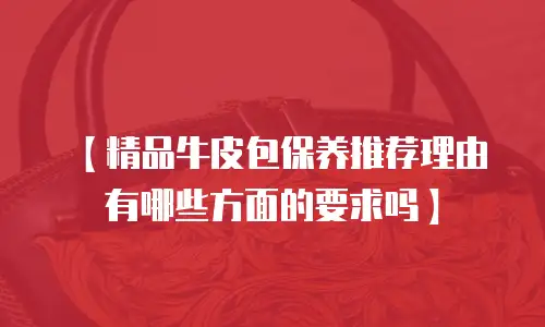 【精品牛皮包保养推荐理由有哪些方面的要求吗】
