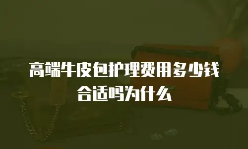 高端牛皮包护理费用多少钱合适吗为什么