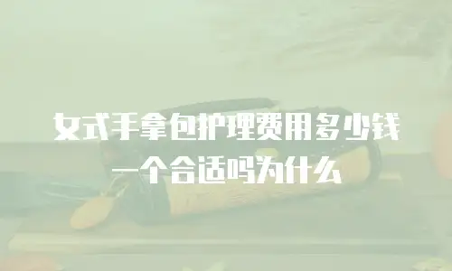 女式手拿包护理费用多少钱一个合适吗为什么