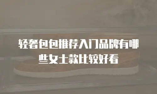 轻奢包包推荐入门品牌有哪些女士款比较好看