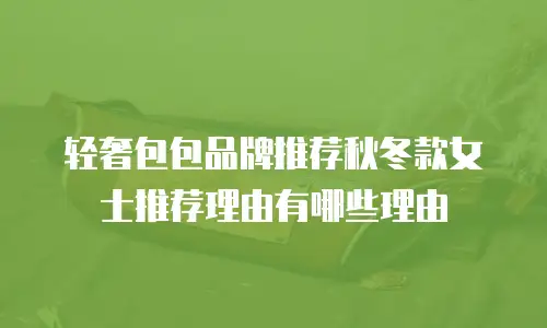 轻奢包包品牌推荐秋冬款女士推荐理由有哪些理由