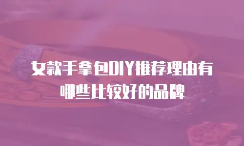 女款手拿包DIY推荐理由有哪些比较好的品牌