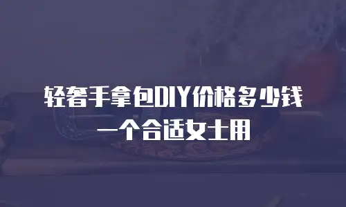 轻奢手拿包DIY价格多少钱一个合适女士用
