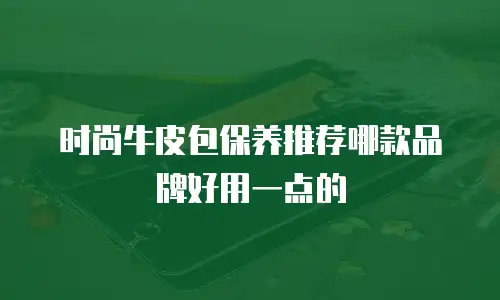 时尚牛皮包保养推荐哪款品牌好用一点的