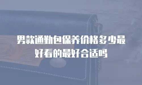 男款通勤包保养价格多少最好看的最好合适吗