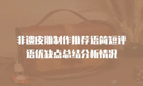 非遗皮雕制作推荐语简短评语优缺点总结分析情况