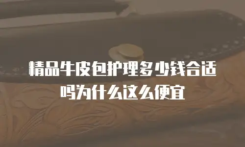 精品牛皮包护理多少钱合适吗为什么这么便宜