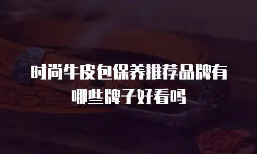 时尚牛皮包保养推荐品牌有哪些牌子好看吗