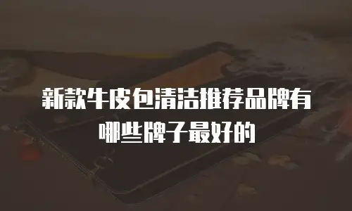 新款牛皮包清洁推荐品牌有哪些牌子最好的