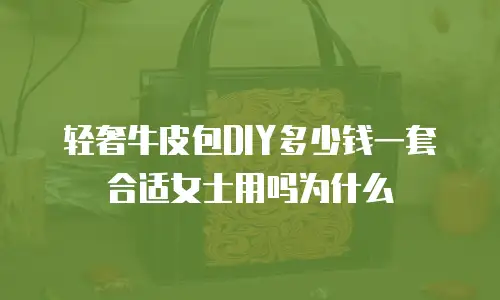轻奢牛皮包DIY多少钱一套合适女士用吗为什么