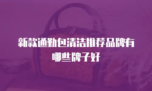 新款通勤包清洁推荐品牌有哪些牌子好