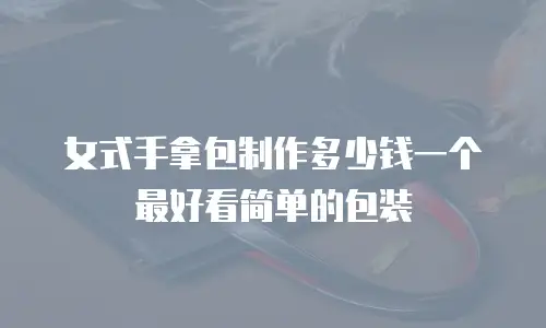 女式手拿包制作多少钱一个最好看简单的包装