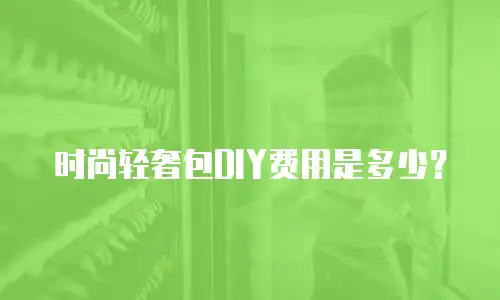 时尚轻奢包DIY费用是多少？