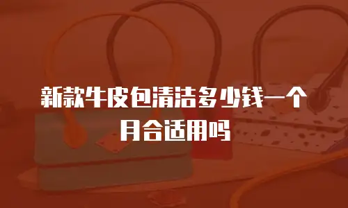 新款牛皮包清洁多少钱一个月合适用吗