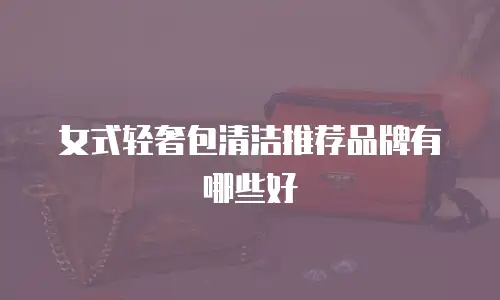 女式轻奢包清洁推荐品牌有哪些好