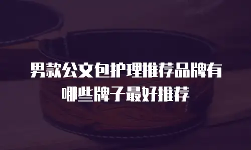 男款公文包护理推荐品牌有哪些牌子最好推荐