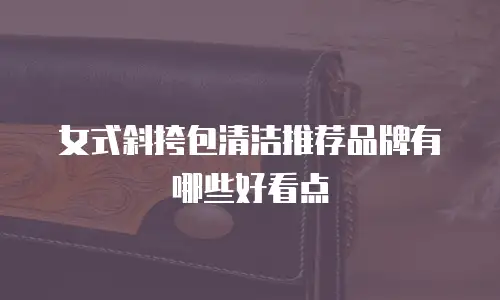 女式斜挎包清洁推荐品牌有哪些好看点