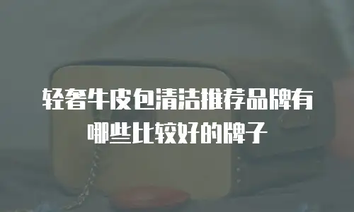 轻奢牛皮包清洁推荐品牌有哪些比较好的牌子