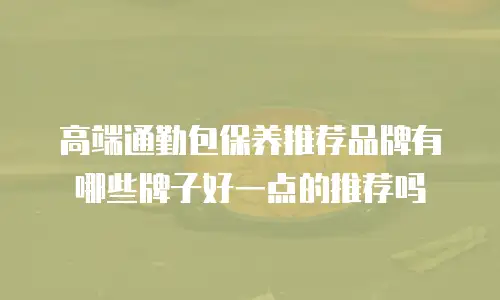 高端通勤包保养推荐品牌有哪些牌子好一点的推荐吗