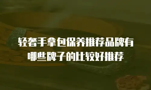 轻奢手拿包保养推荐品牌有哪些牌子的比较好推荐
