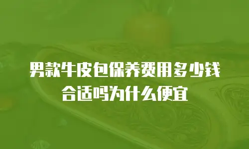 男款牛皮包保养费用多少钱合适吗为什么便宜