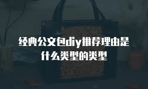 经典公文包diy推荐理由是什么类型的类型