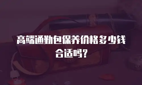 高端通勤包保养价格多少钱合适吗？