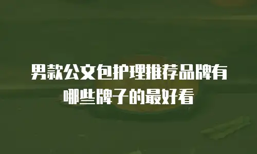 男款公文包护理推荐品牌有哪些牌子的最好看