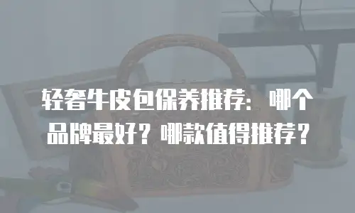 轻奢牛皮包保养推荐：哪个品牌最好？哪款值得推荐？