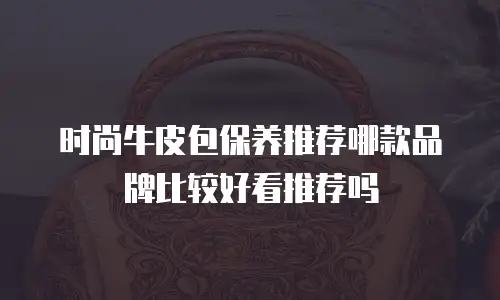 时尚牛皮包保养推荐哪款品牌比较好看推荐吗