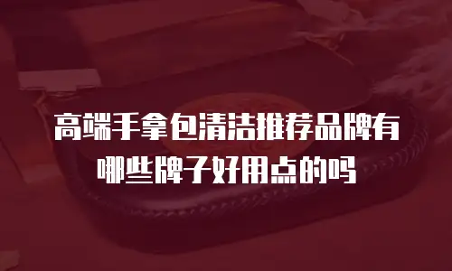 高端手拿包清洁推荐品牌有哪些牌子好用点的吗