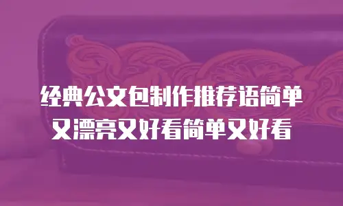 经典公文包制作推荐语简单又漂亮又好看简单又好看