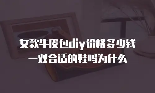 女款牛皮包diy价格多少钱一双合适的鞋吗为什么