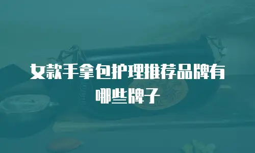 女款手拿包护理推荐品牌有哪些牌子