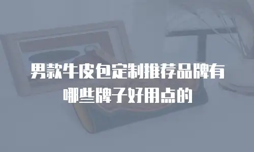男款牛皮包定制推荐品牌有哪些牌子好用点的