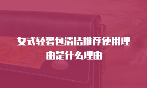 女式轻奢包清洁推荐使用理由是什么理由
