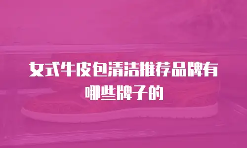 女式牛皮包清洁推荐品牌有哪些牌子的