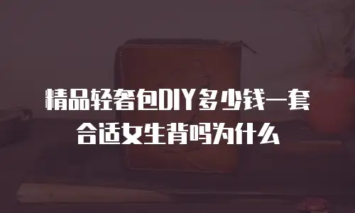 精品轻奢包DIY多少钱一套合适女生背吗为什么