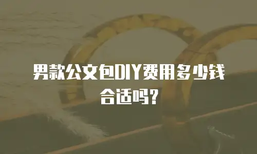 男款公文包DIY费用多少钱合适吗？