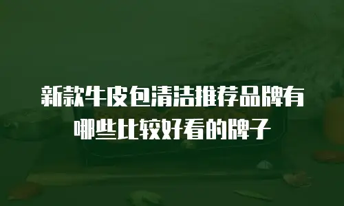 新款牛皮包清洁推荐品牌有哪些比较好看的牌子