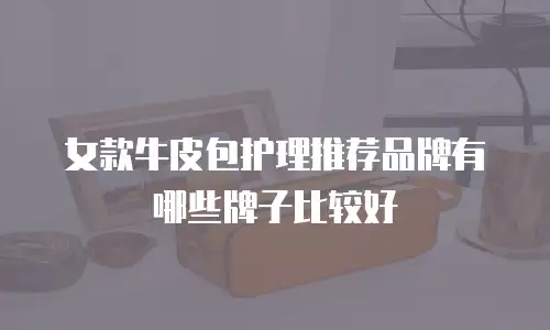 女款牛皮包护理推荐品牌有哪些牌子比较好