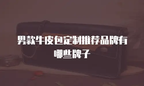 男款牛皮包定制推荐品牌有哪些牌子